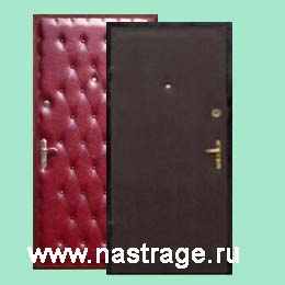 Металлическая дверь