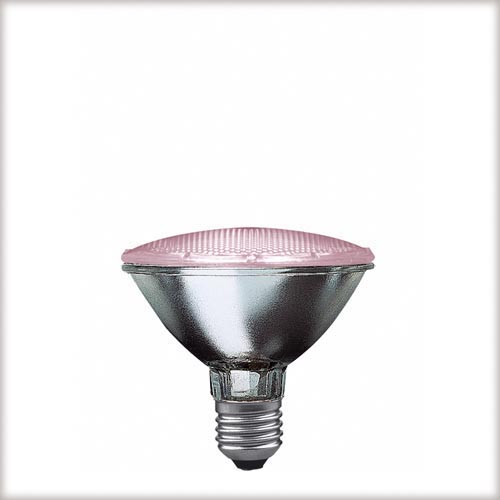 Fitolampa Paulmann, art.249.71