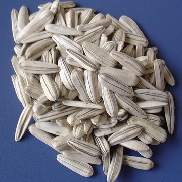 Белые семечки
