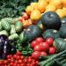 продукты питания