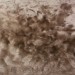 подклад из овчины
