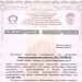 экспертное заключение